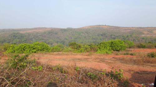 Mountain View Plots